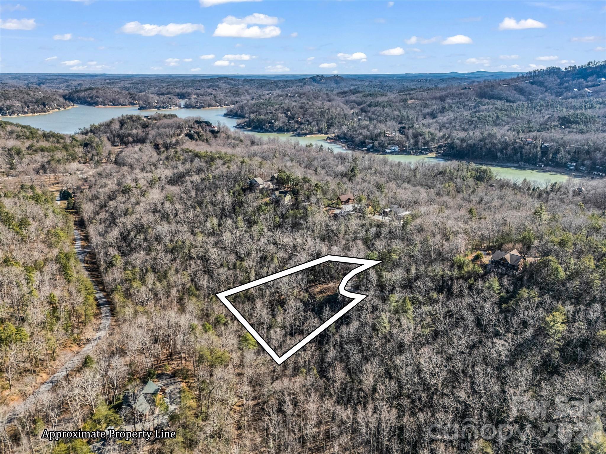 00 Mintwood Court Lake Lure NC 28746