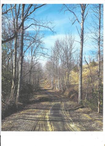 Lot #4 Windy Cove Lane NW Spruce Pine NC 28777