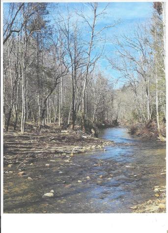 Lot #4 Windy Cove Lane NW Spruce Pine NC 28777