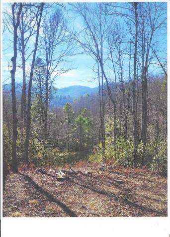 Lot #4 Windy Cove Lane NW Spruce Pine NC 28777