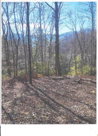 Lot #4 Windy Cove Lane NW Spruce Pine NC 28777