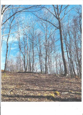 Lot #4 Windy Cove Lane NW Spruce Pine NC 28777