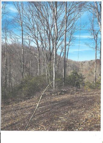 Lot #4 Windy Cove Lane NW Spruce Pine NC 28777