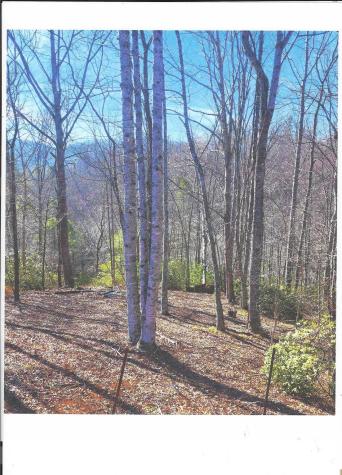 Lot #4 Windy Cove Lane NW Spruce Pine NC 28777