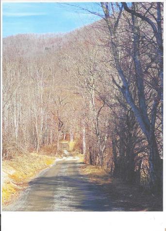 Lot #4 Windy Cove Lane NW Spruce Pine NC 28777