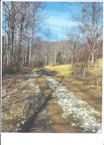 Lot #4 Windy Cove Lane NW Spruce Pine NC 28777