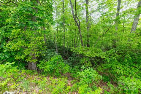 999 Mount Soma Boulevard Clyde NC 28721