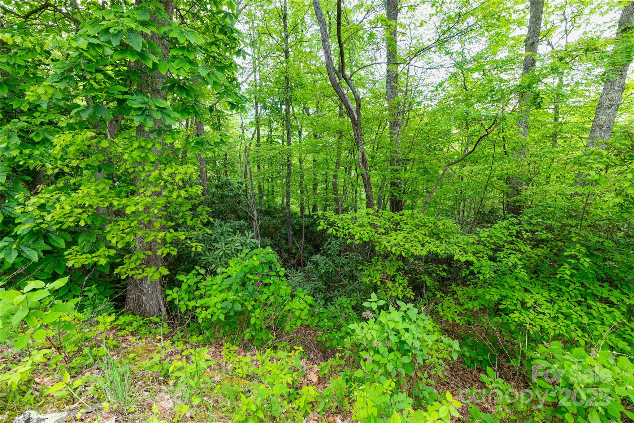 999 Mount Soma Boulevard Clyde NC 28721