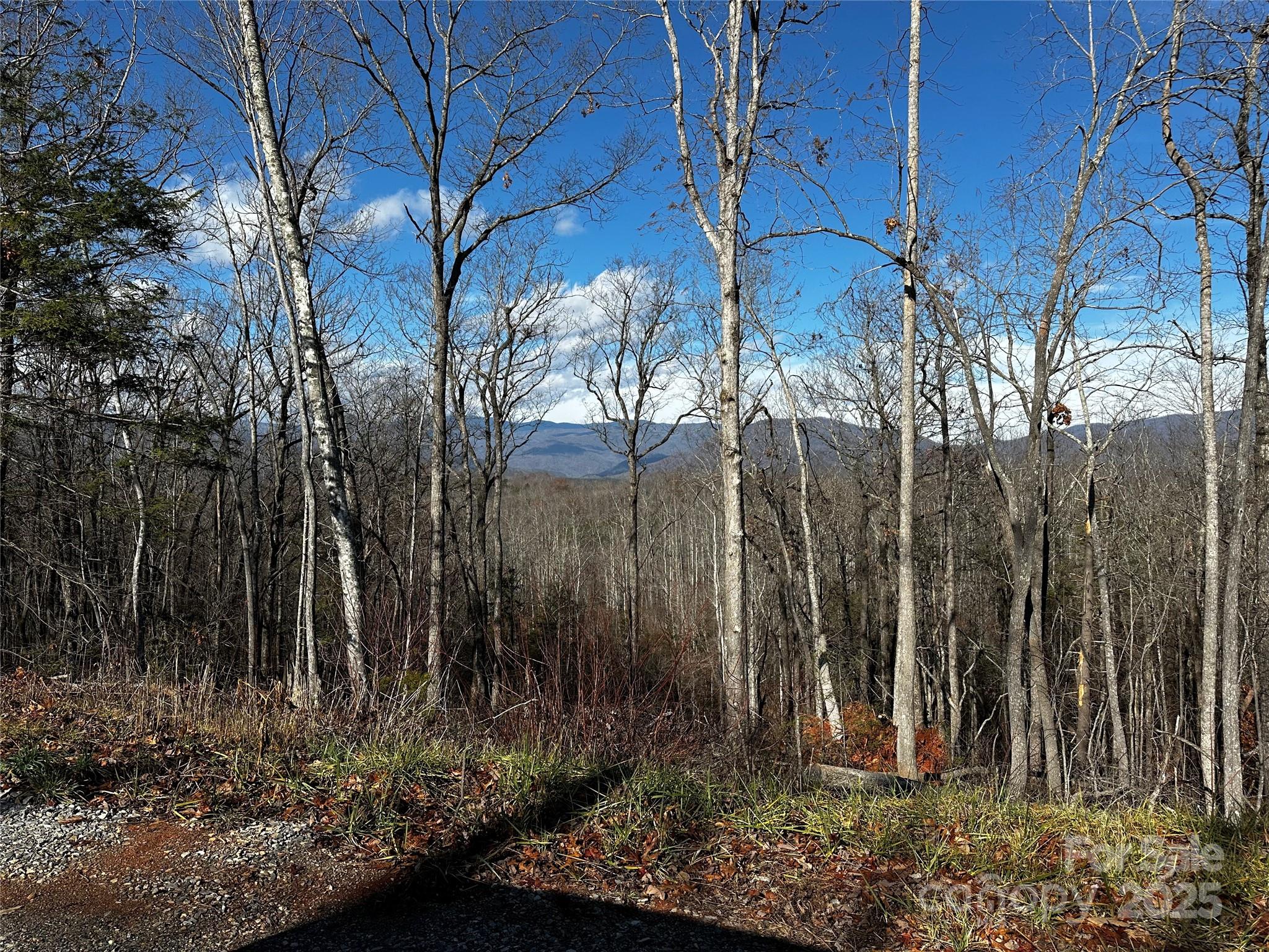 182 Warren Ridge Drive Old Fort NC 28762