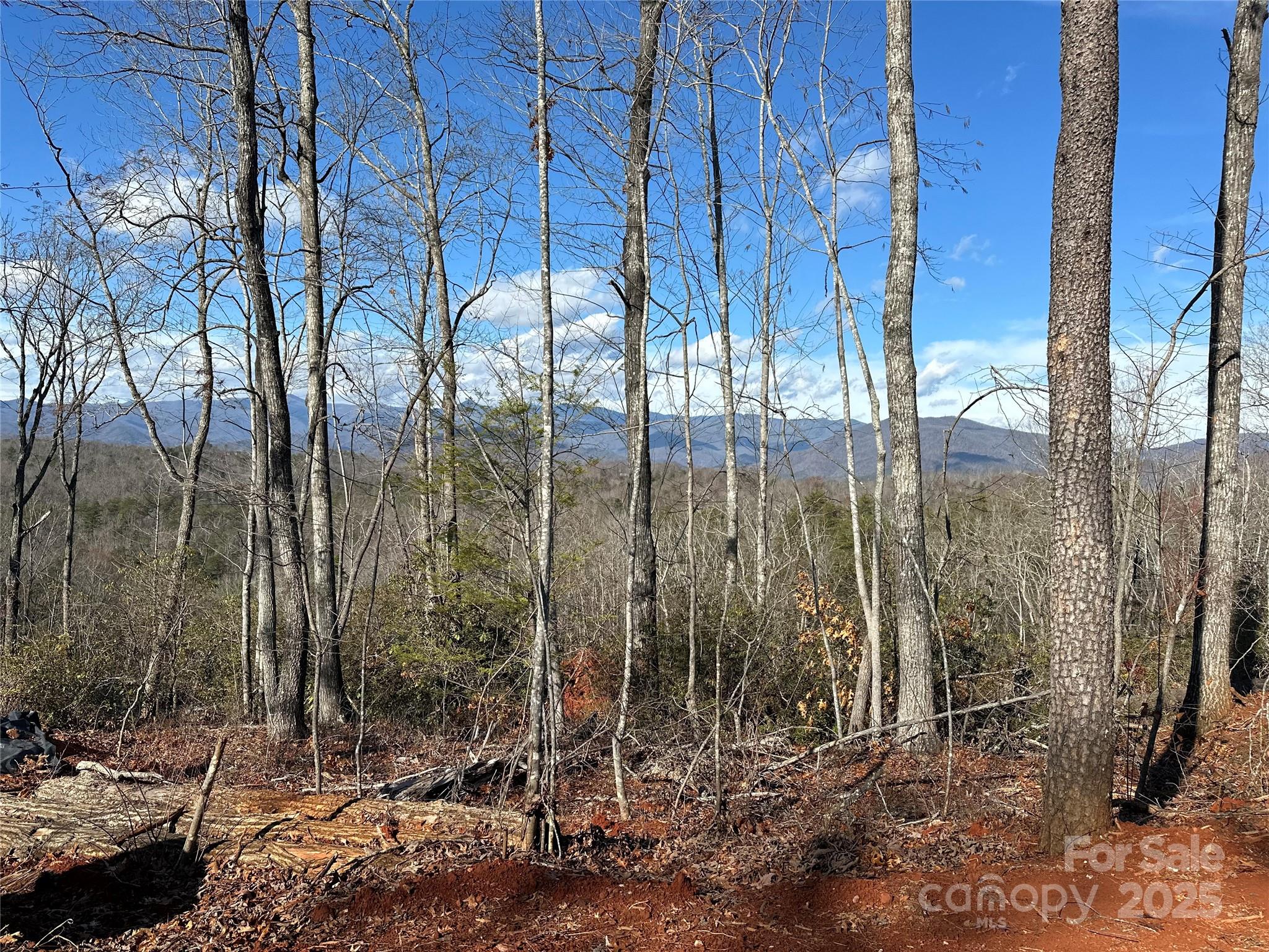 182 Warren Ridge Drive Old Fort NC 28762