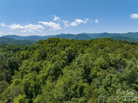 1409 Us 441 Highway Whittier NC 28789