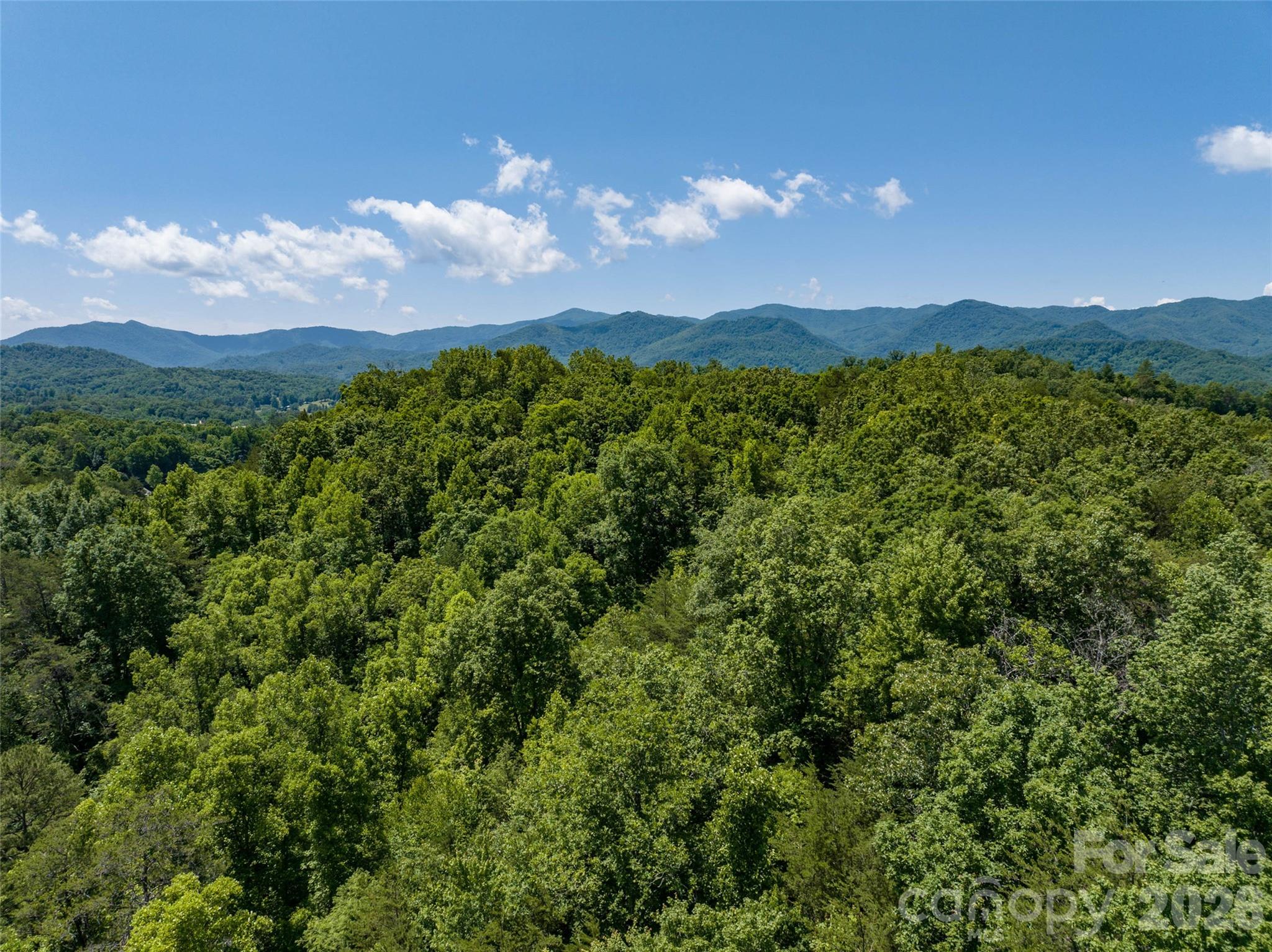 1409 Us 441 Highway Whittier NC 28789