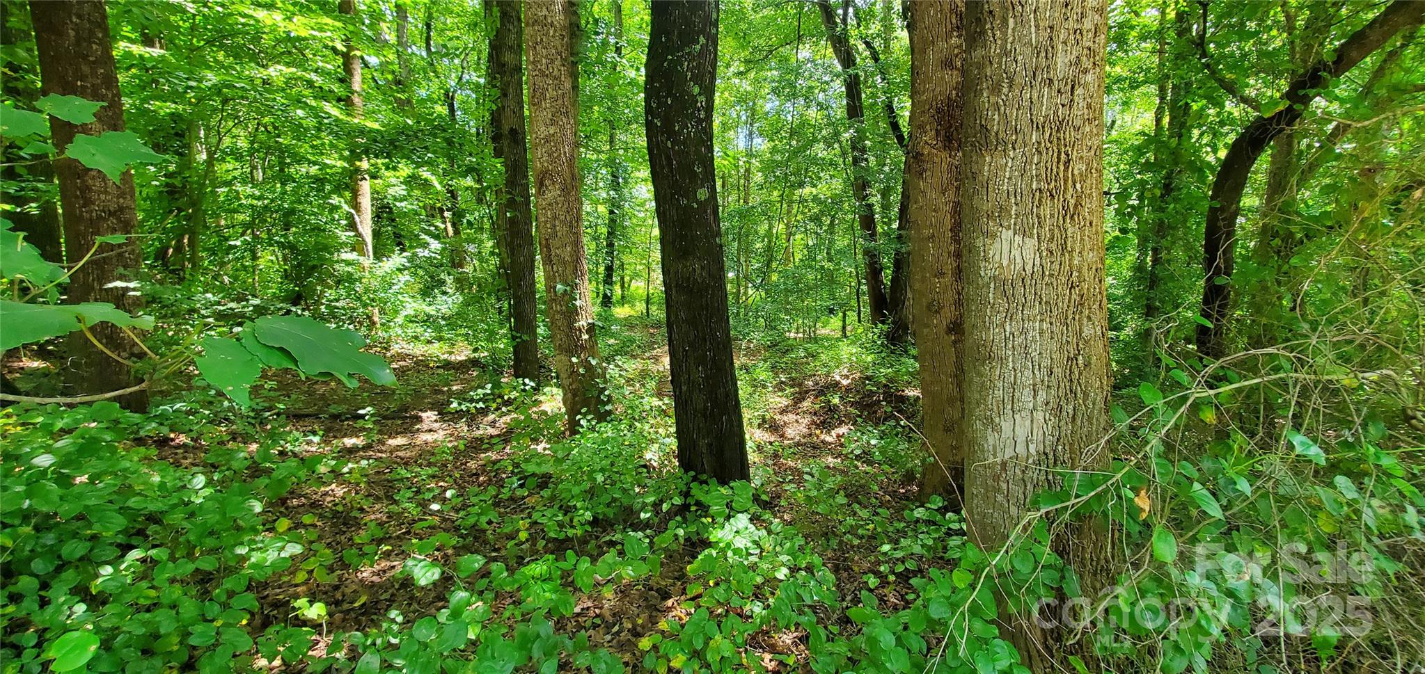 3939 Us 64 Highway W Mocksville NC 27028