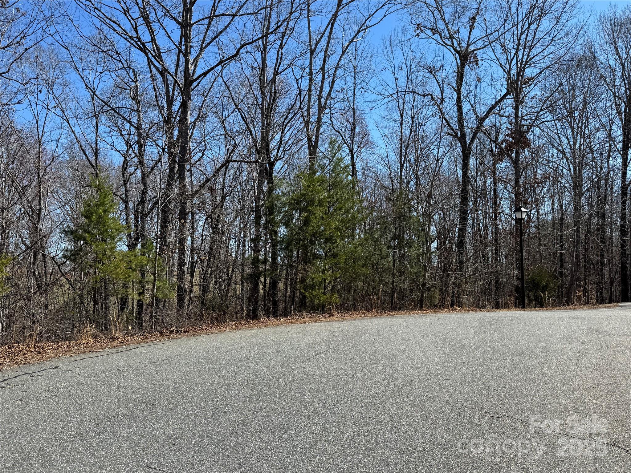 00 Shady Bark Lane Rutherfordton NC 28139