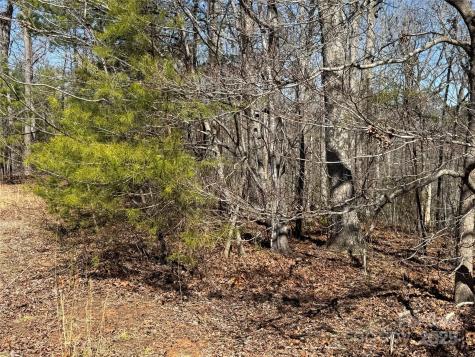 00 Shady Bark Lane Rutherfordton NC 28139