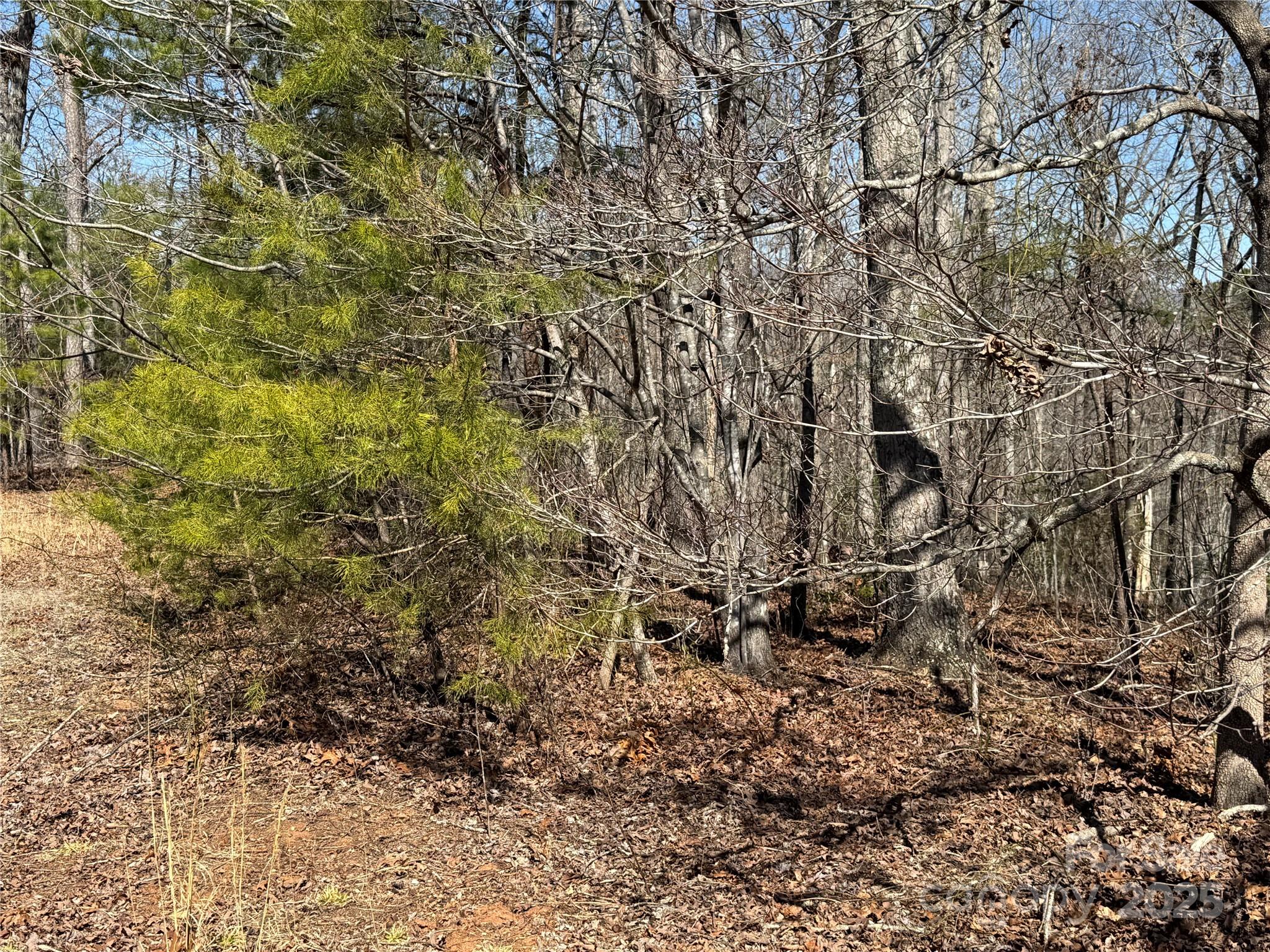 00 Shady Bark Lane Rutherfordton NC 28139