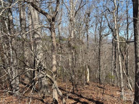 00 Shady Bark Lane Rutherfordton NC 28139