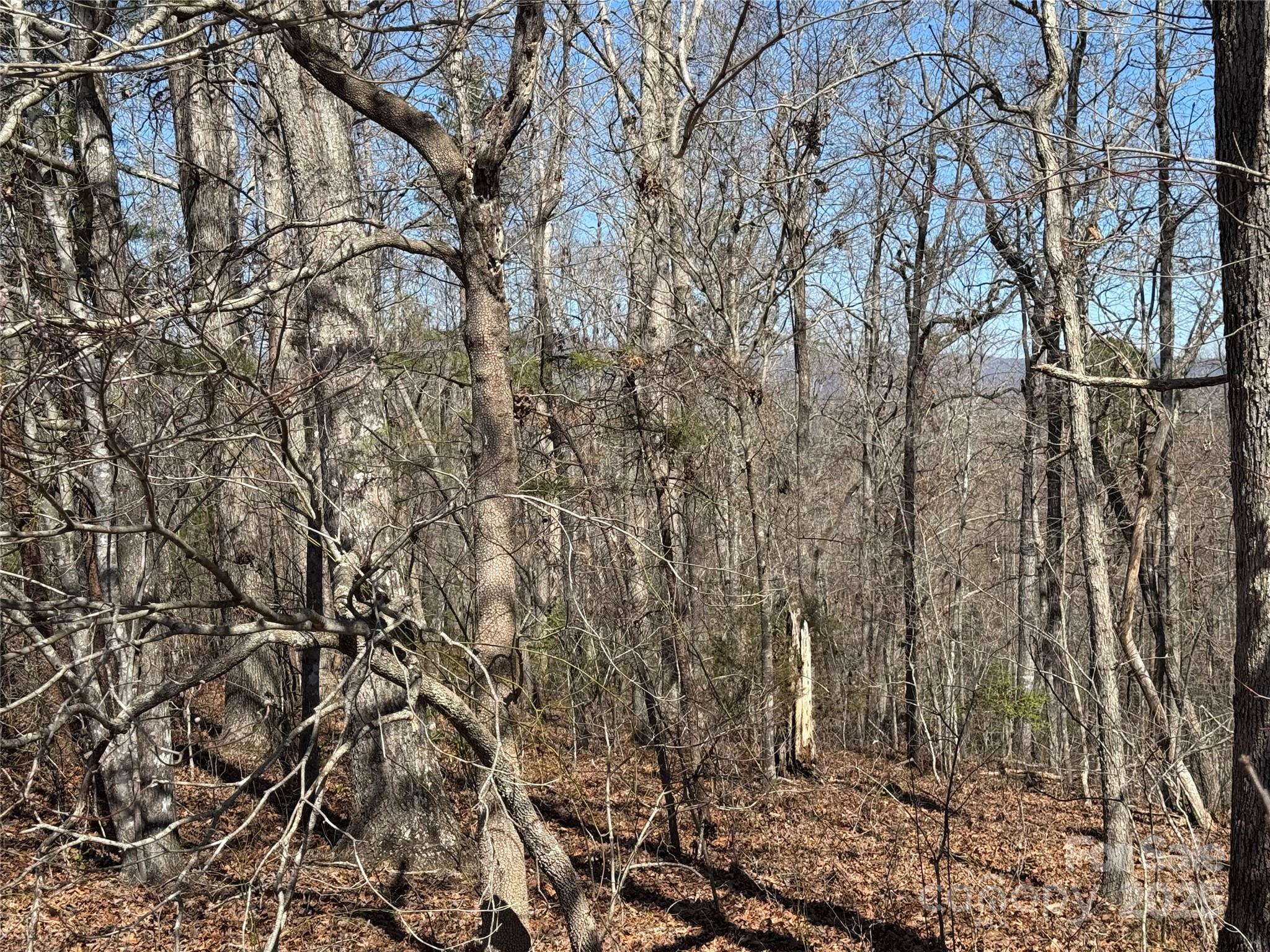 00 Shady Bark Lane Rutherfordton NC 28139