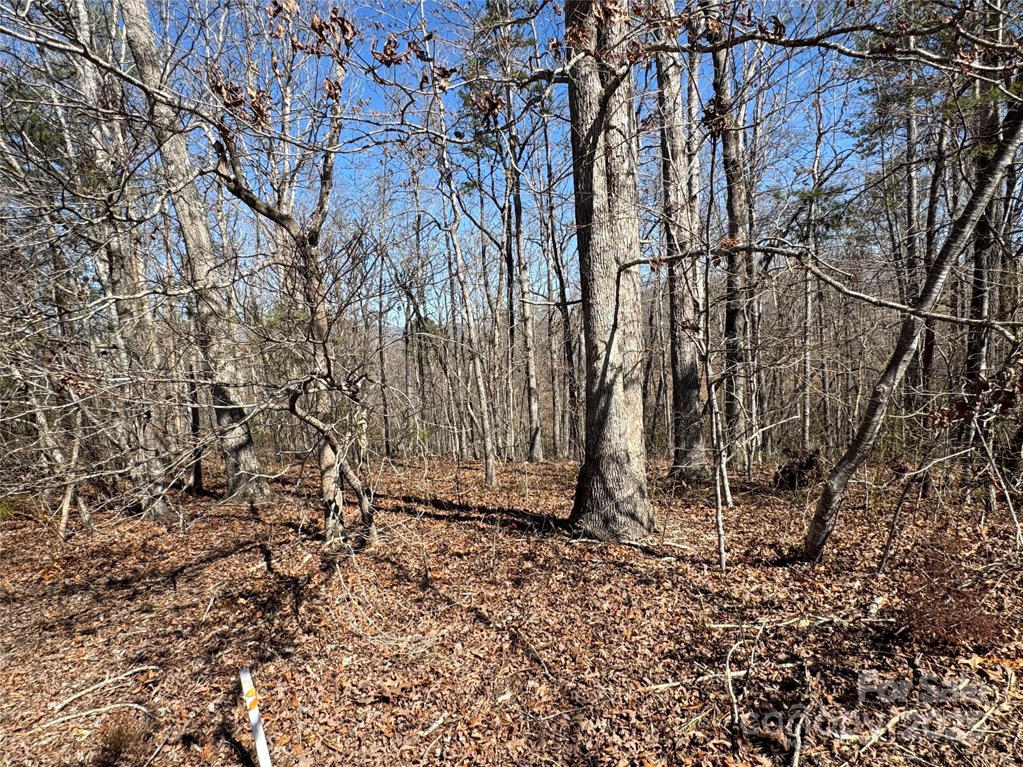 00 Shady Bark Lane Rutherfordton NC 28139