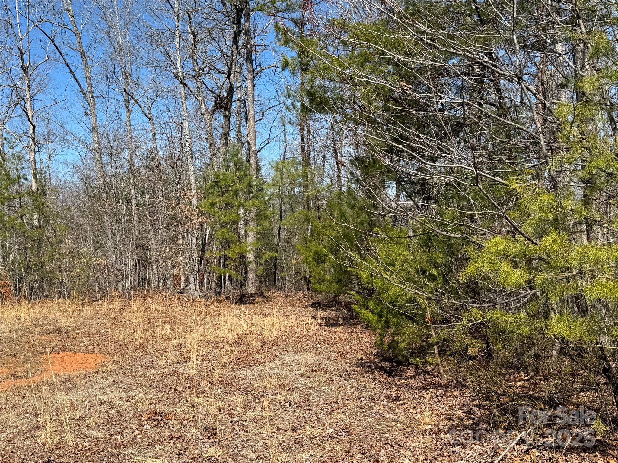 00 Shady Bark Lane Rutherfordton NC 28139