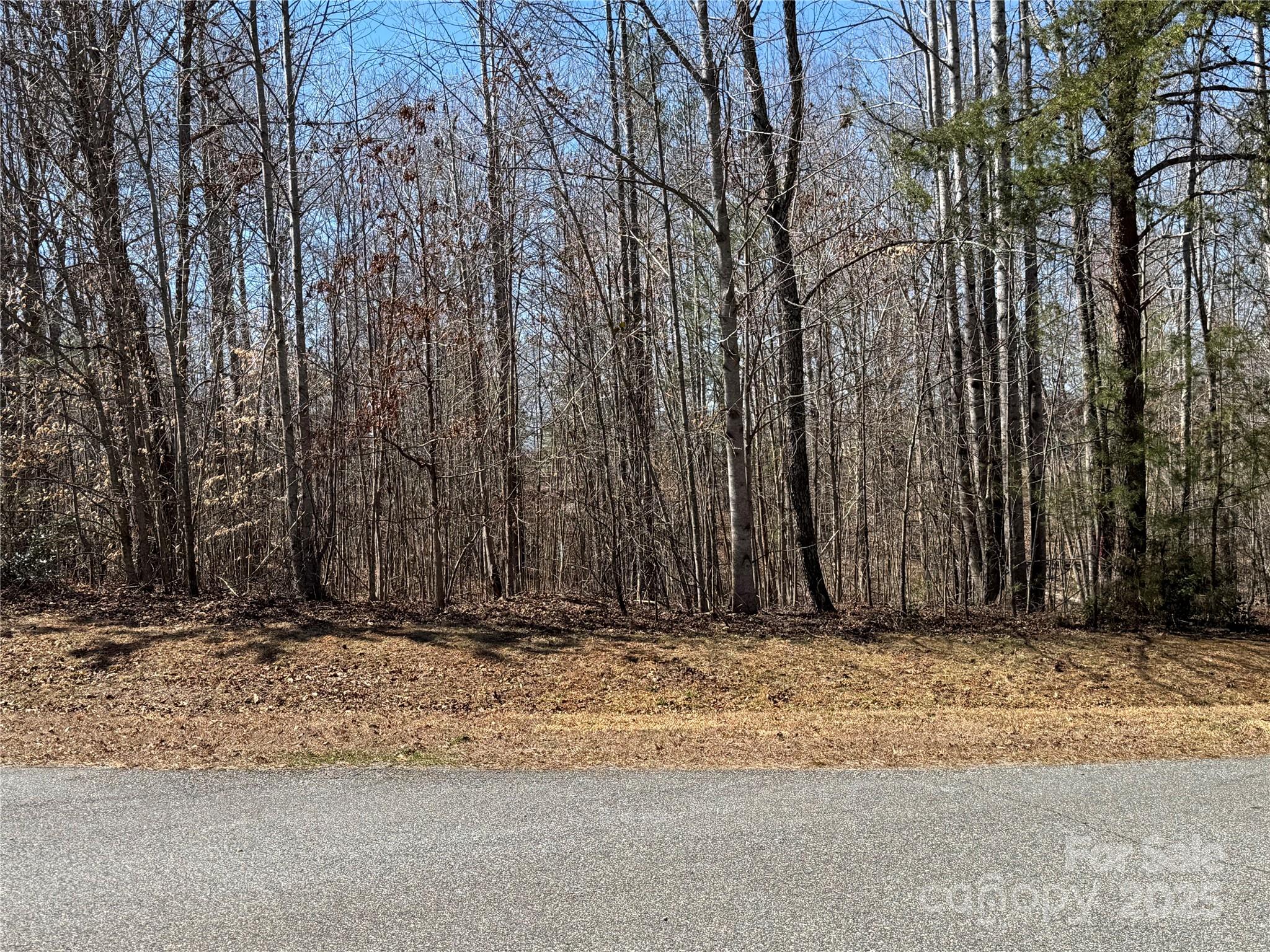 00 Shady Bark Lane Rutherfordton NC 28139