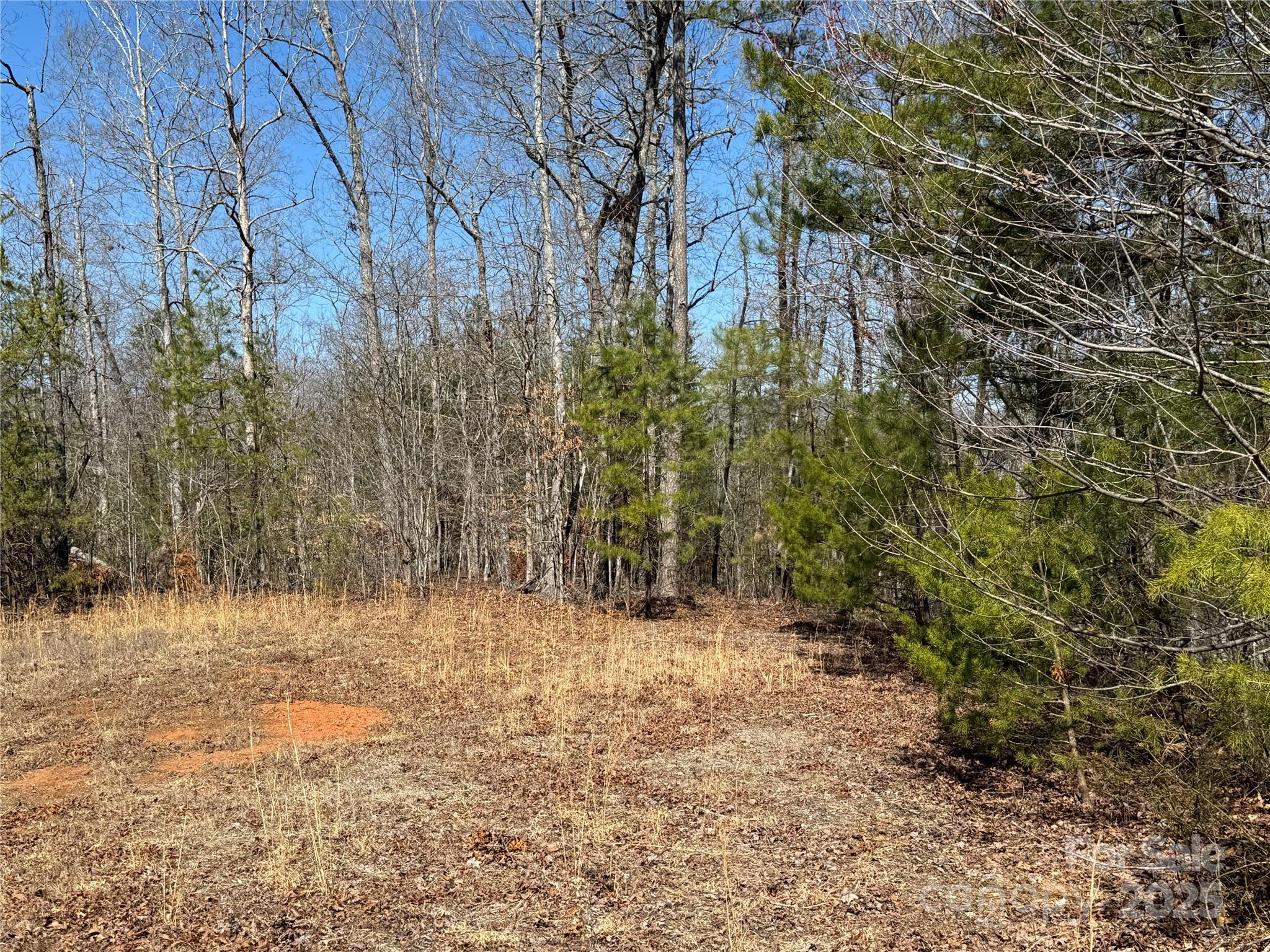 00 Shady Bark Lane Rutherfordton NC 28139