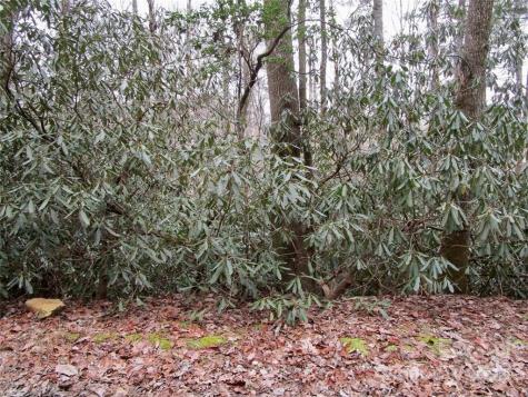 Lot #22 Toxaway Falls Drive Lake Toxaway NC 28747