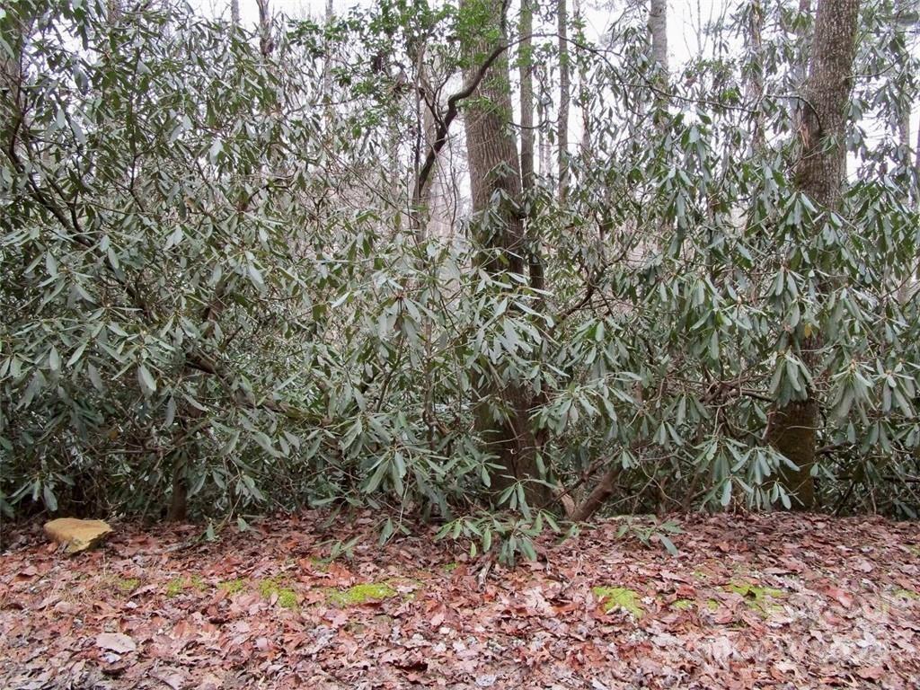 Lot #22 Toxaway Falls Drive Lake Toxaway NC 28747