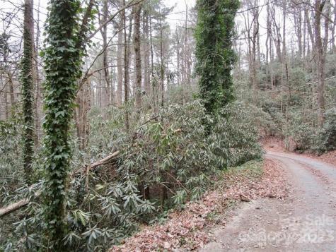 Lot #22 Toxaway Falls Drive Lake Toxaway NC 28747
