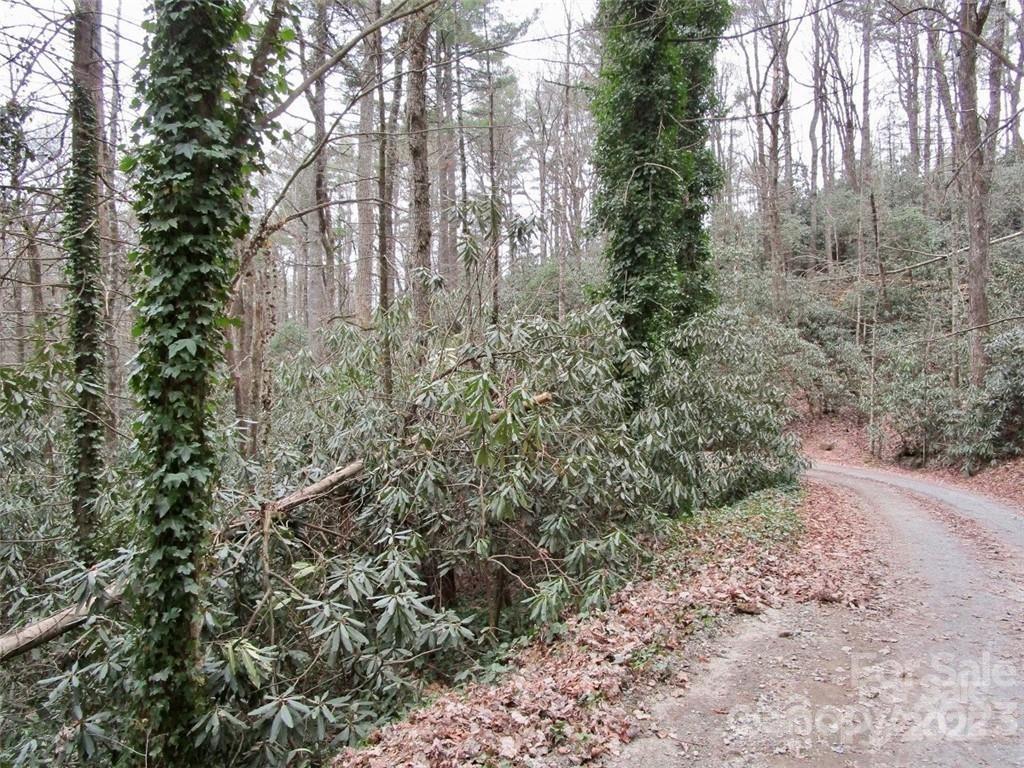 Lot #22 Toxaway Falls Drive Lake Toxaway NC 28747