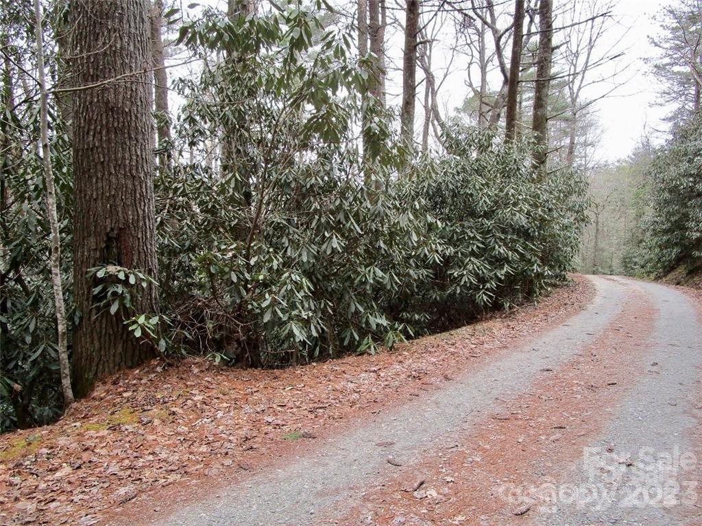 Lot #22 Toxaway Falls Drive Lake Toxaway NC 28747