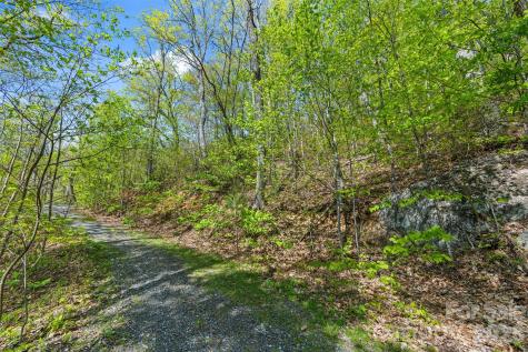 21 Reillys Bluff Road Barnardsville NC 28709