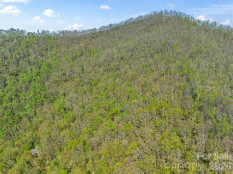 21 Reillys Bluff Road Barnardsville NC 28709