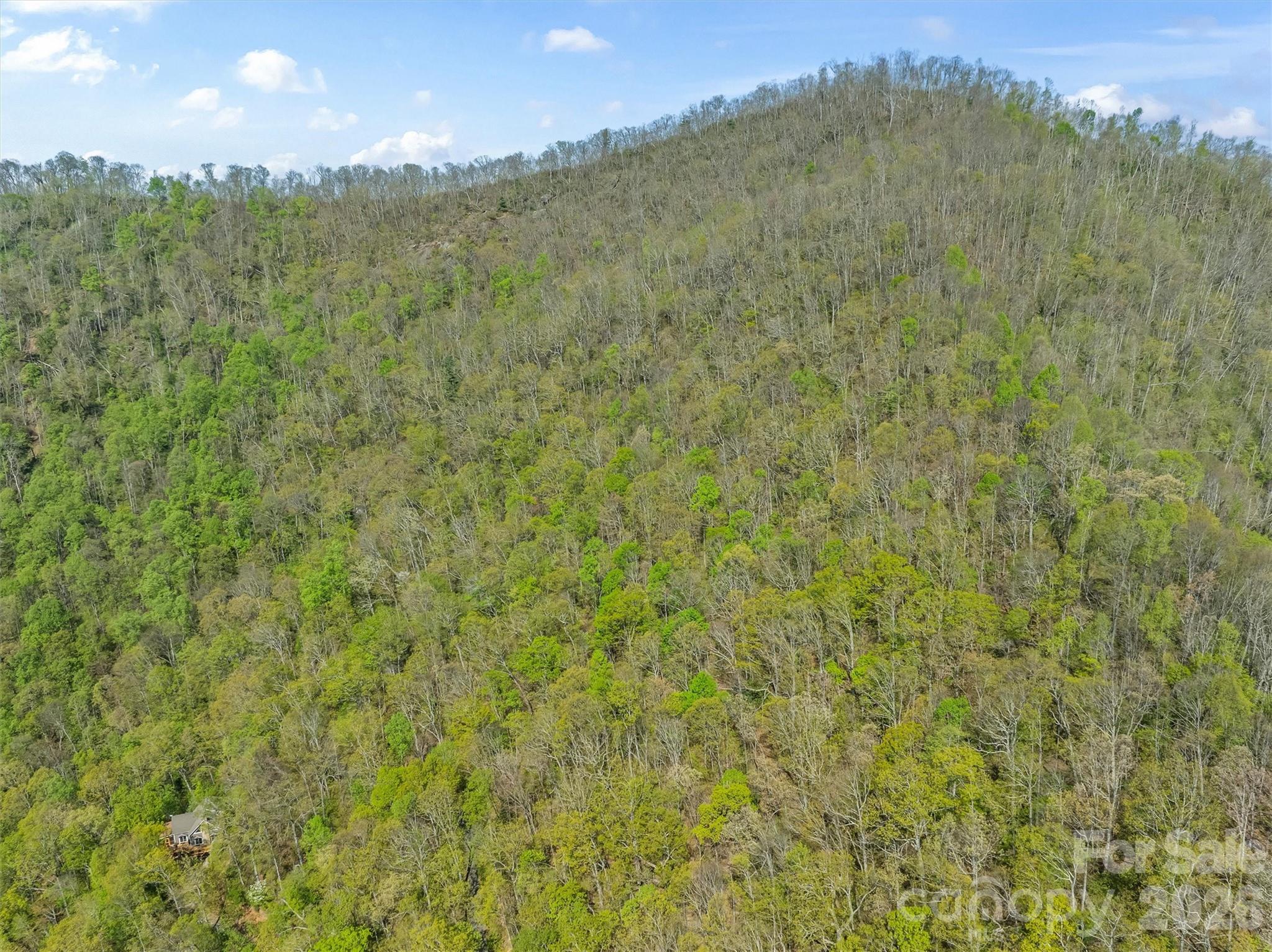 21 Reillys Bluff Road Barnardsville NC 28709