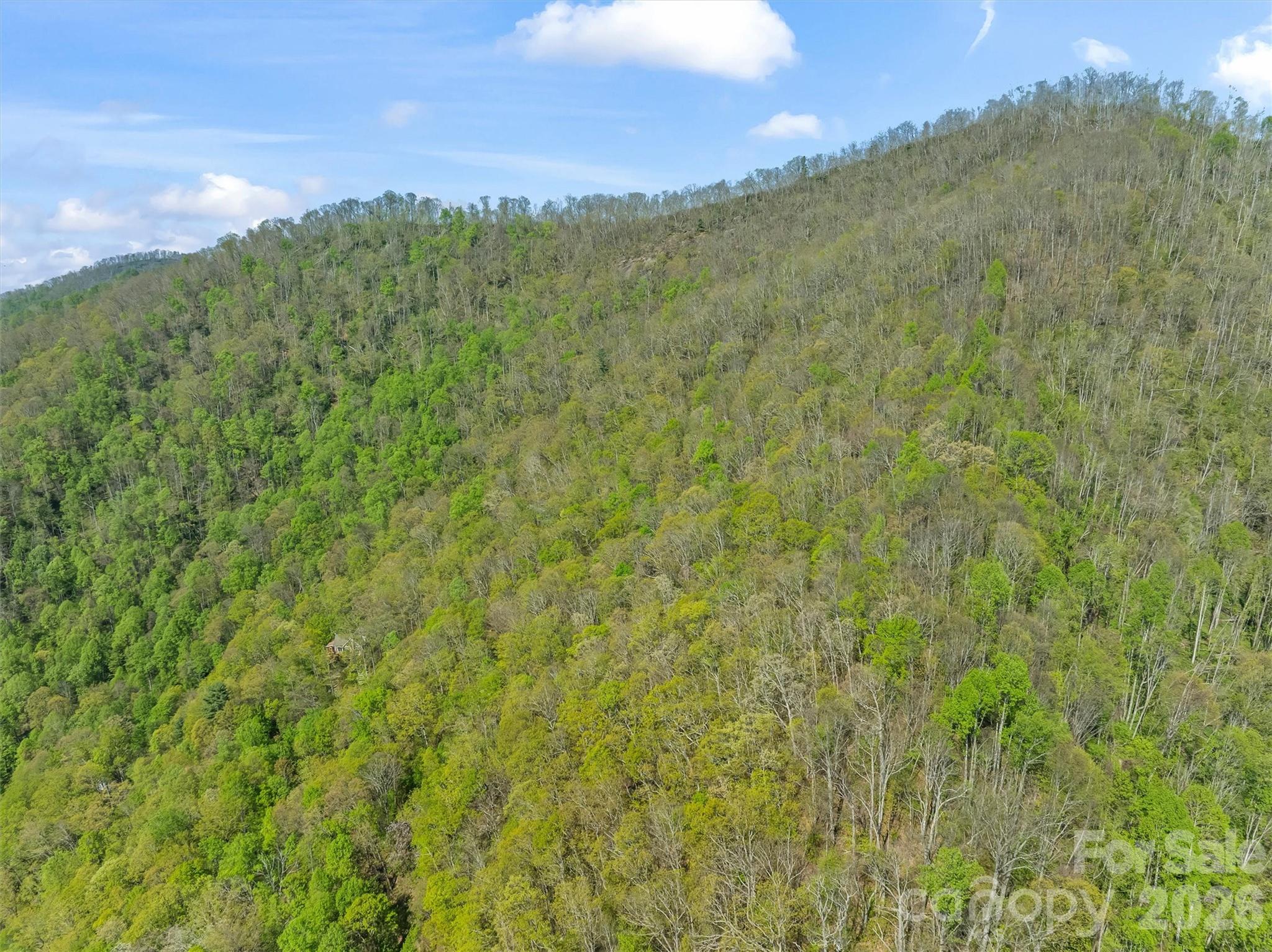 21 Reillys Bluff Road Barnardsville NC 28709