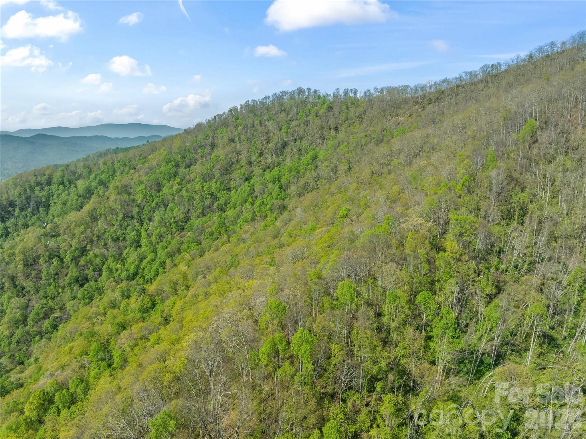 21 Reillys Bluff Road Barnardsville NC 28709