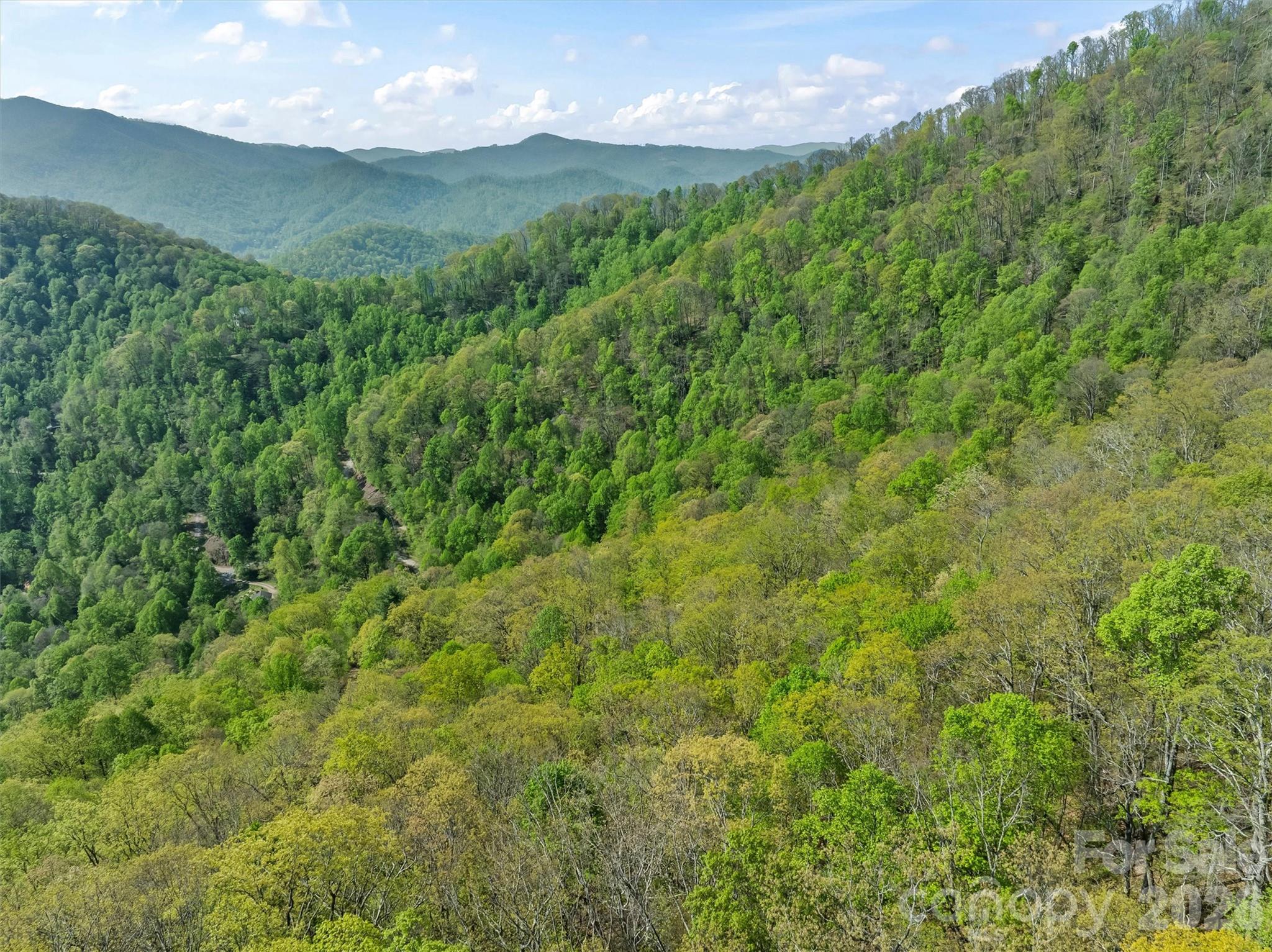 21 Reillys Bluff Road Barnardsville NC 28709