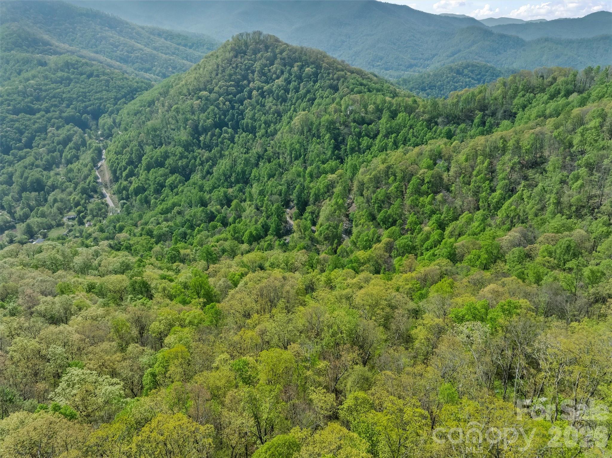 21 Reillys Bluff Road Barnardsville NC 28709