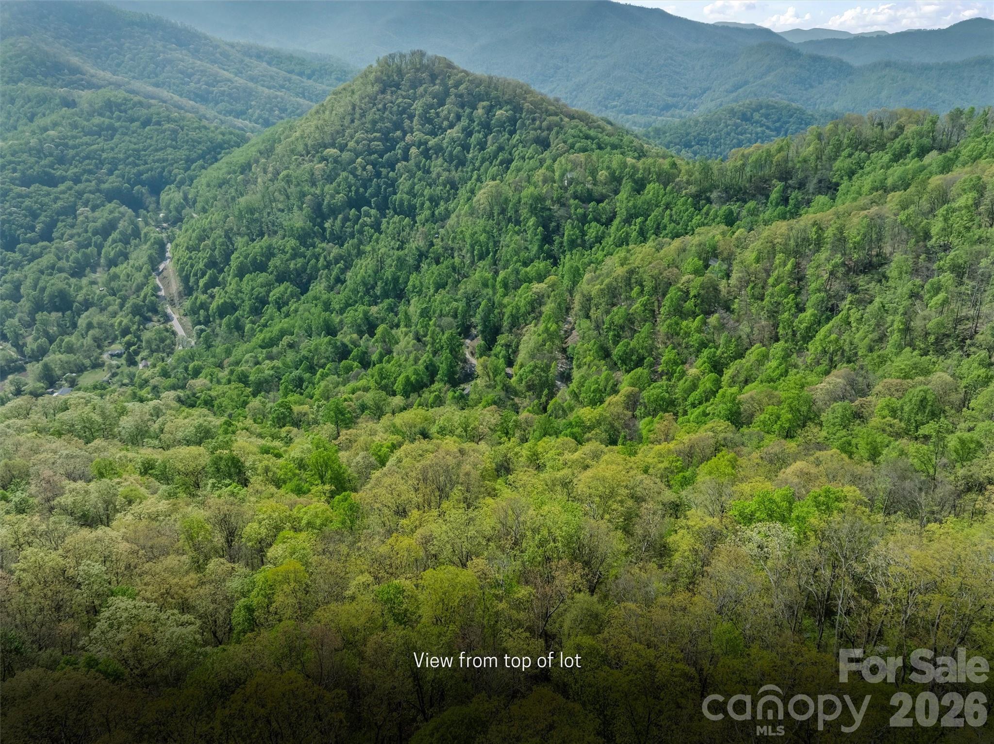 21 Reillys Bluff Road Barnardsville NC 28709