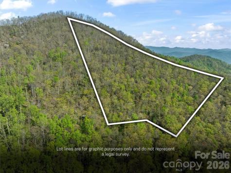 21 Reillys Bluff Road Barnardsville NC 28709