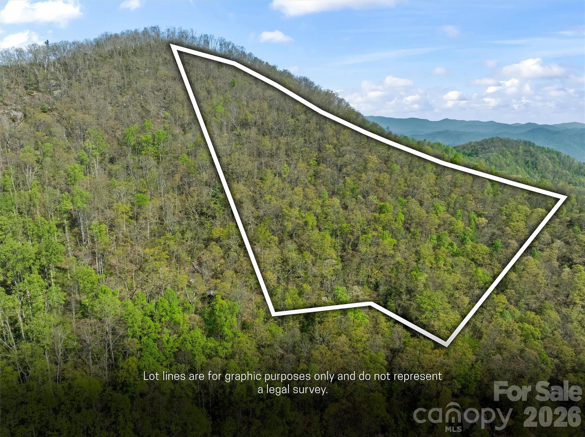 21 Reillys Bluff Road Barnardsville NC 28709
