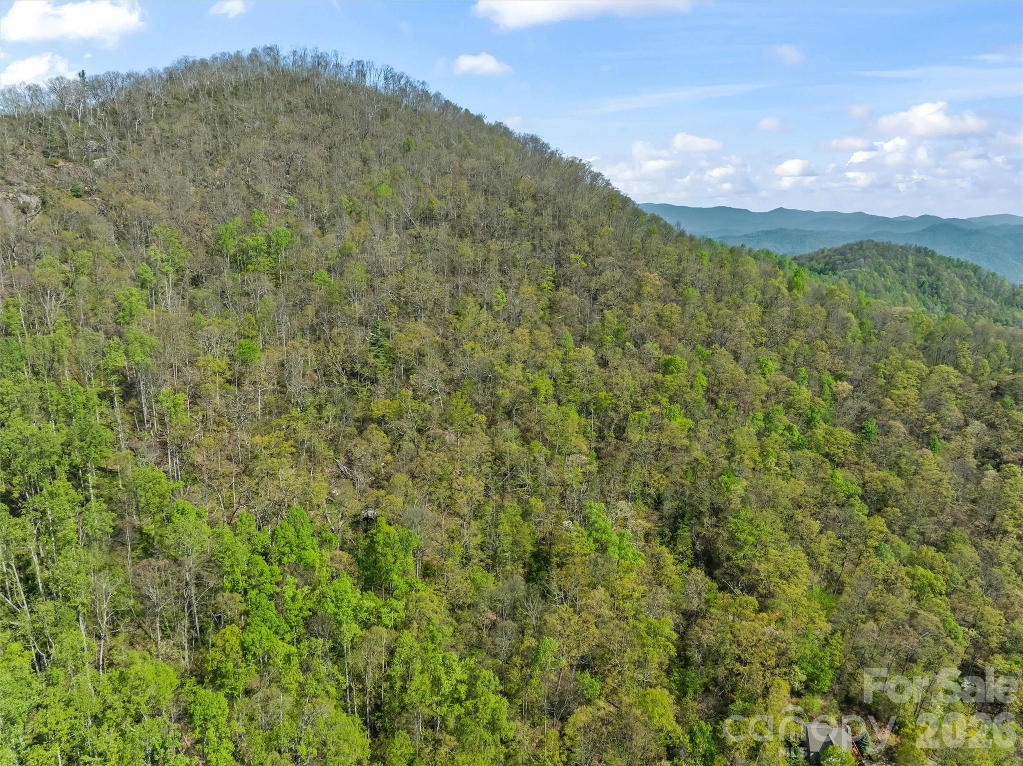 21 Reillys Bluff Road Barnardsville NC 28709