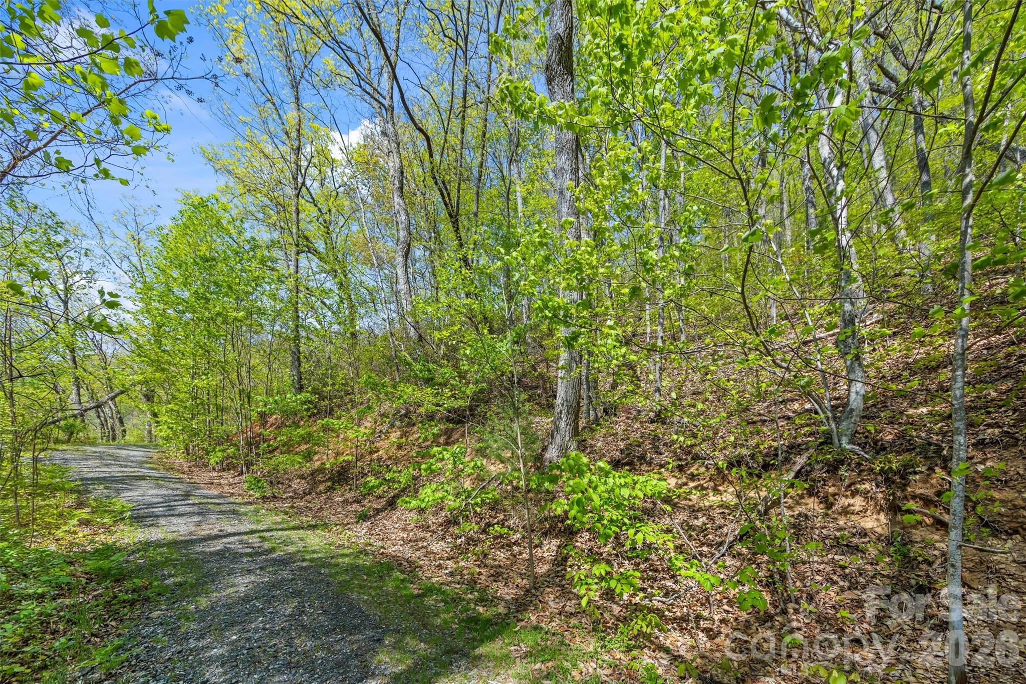 21 Reillys Bluff Road Barnardsville NC 28709