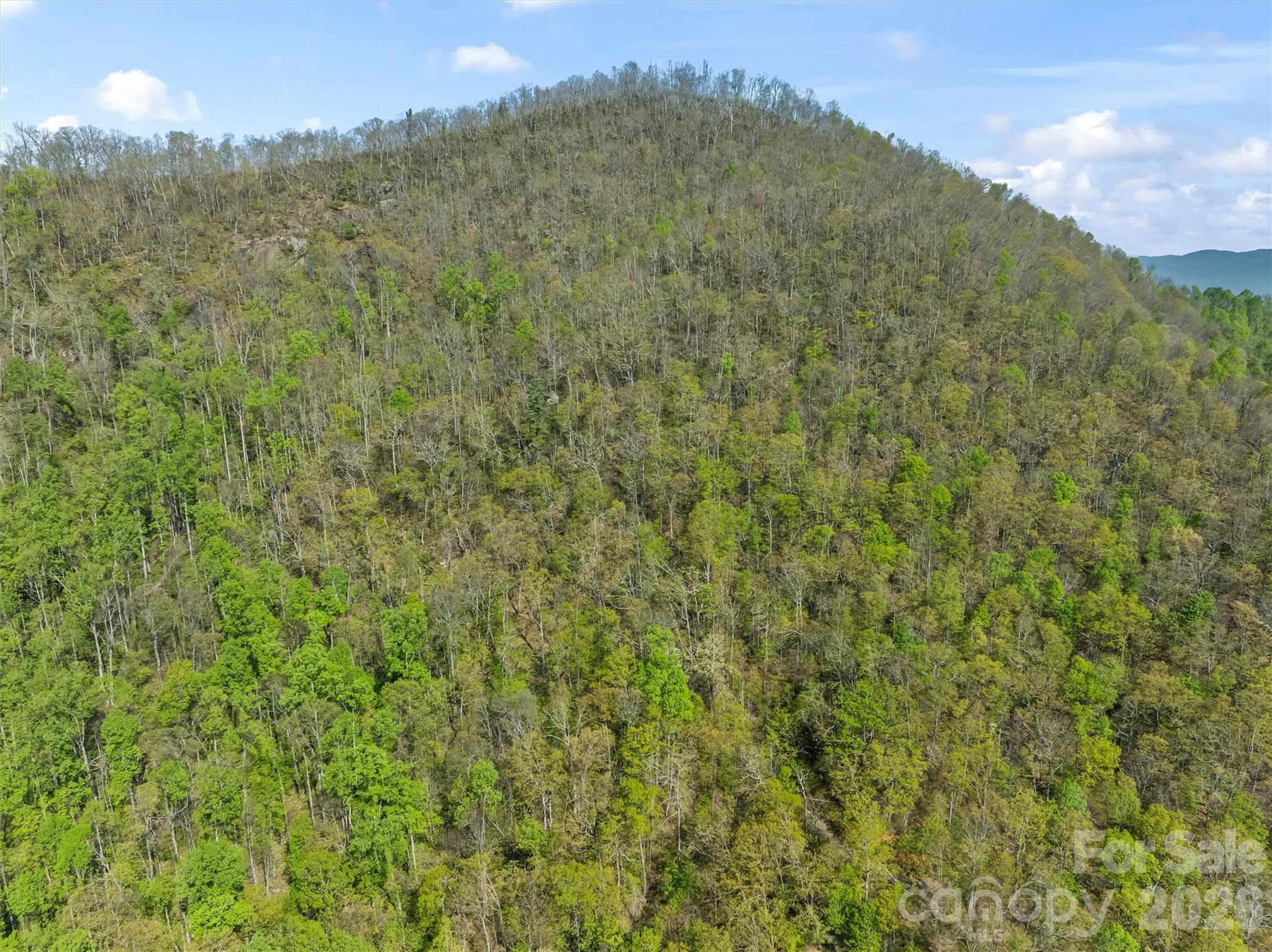 21 Reillys Bluff Road Barnardsville NC 28709