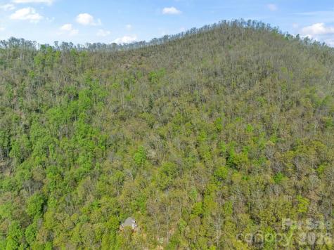 21 Reillys Bluff Road Barnardsville NC 28709