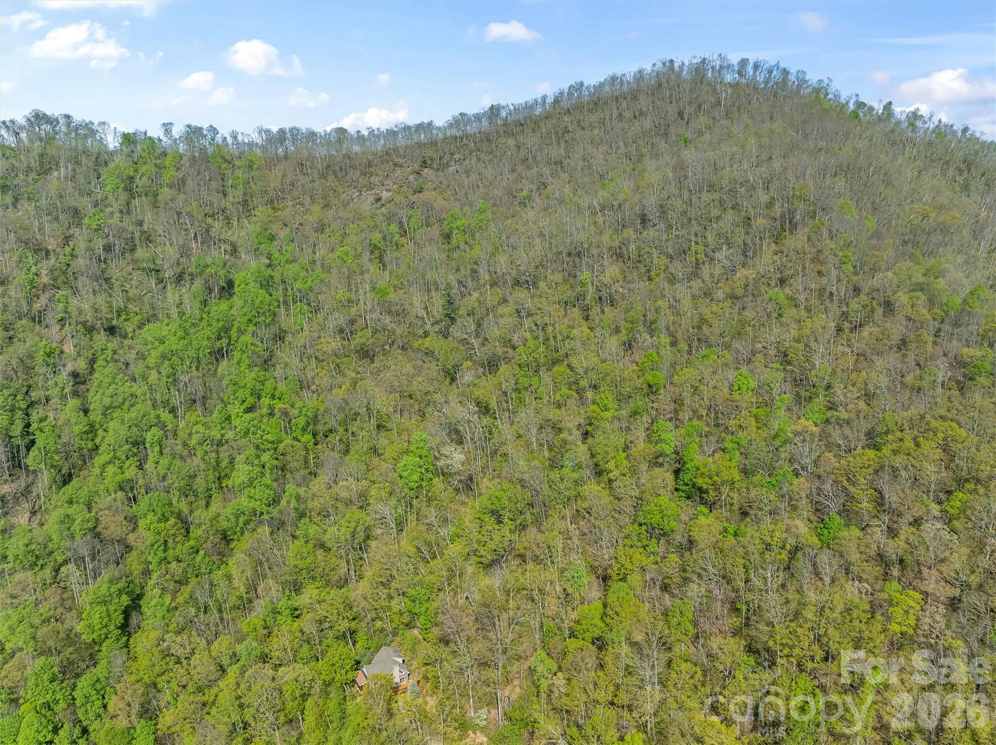 21 Reillys Bluff Road Barnardsville NC 28709