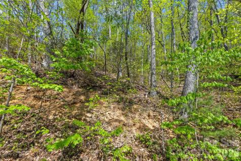 21 Reillys Bluff Road Barnardsville NC 28709