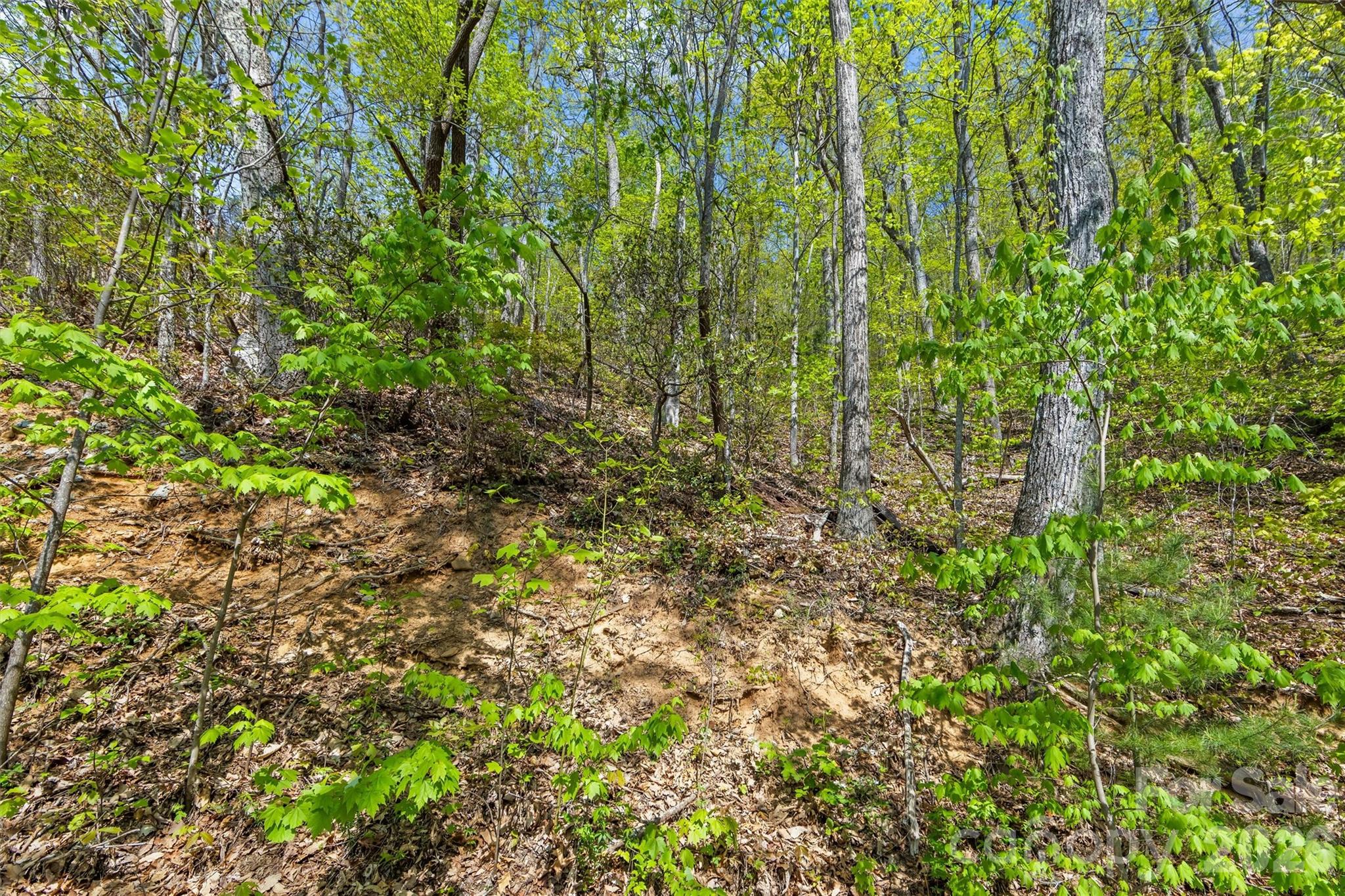 21 Reillys Bluff Road Barnardsville NC 28709