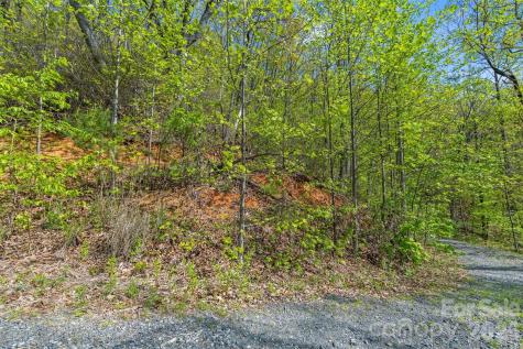 21 Reillys Bluff Road Barnardsville NC 28709