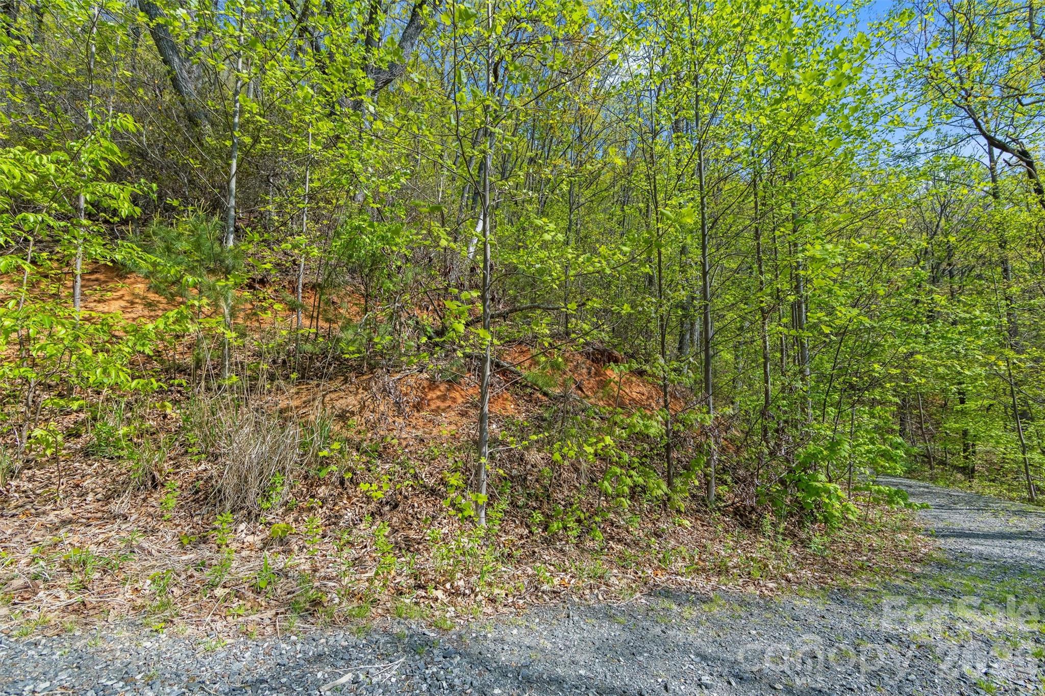 21 Reillys Bluff Road Barnardsville NC 28709